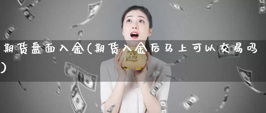 期货盘面入金(期货入金后马上可以交易吗)_https://www.baokan.net_内盘期货_第1张