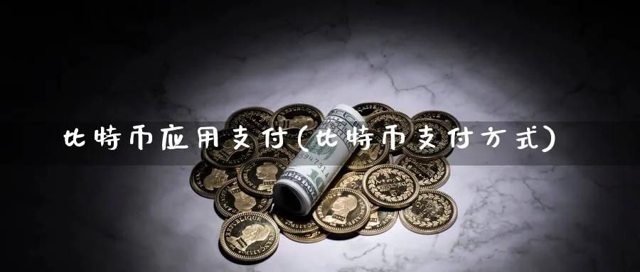 比特币应用支付(比特币支付方式)_https://www.baokan.net_币圈行情_第1张