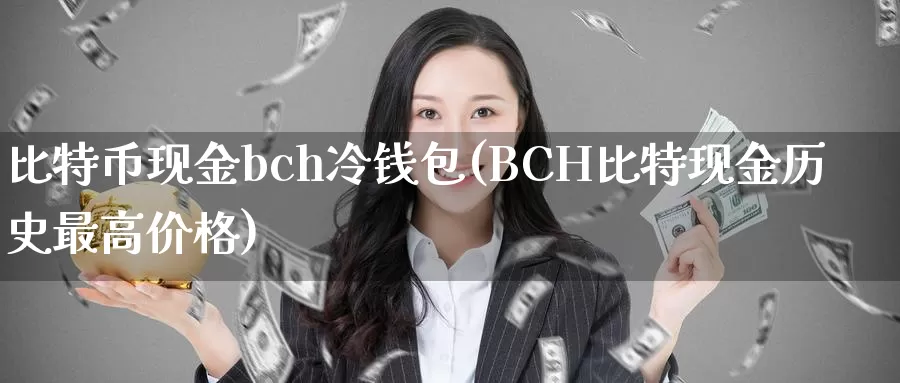 比特币现金bch冷钱包(BCH比特现金历史最高价格)_https://www.baokan.net_币圈行情_第1张
