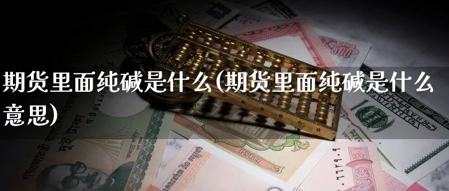 期货里面纯碱是什么(期货里面纯碱是什么意思)_https://www.baokan.net_股指期货_第1张