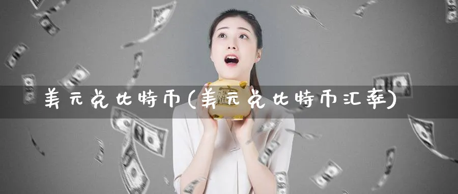 美元兑比特币(美元兑比特币汇率)_https://www.baokan.net_币圈行情_第1张