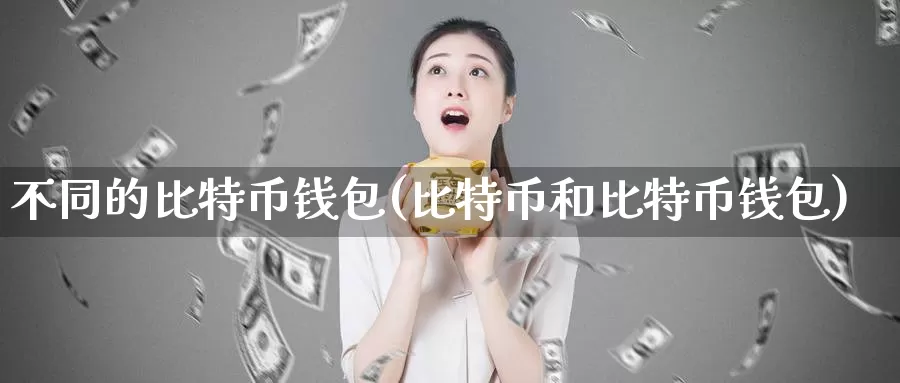 不同的比特币钱包(比特币和比特币钱包)_https://www.baokan.net_币圈行情_第1张