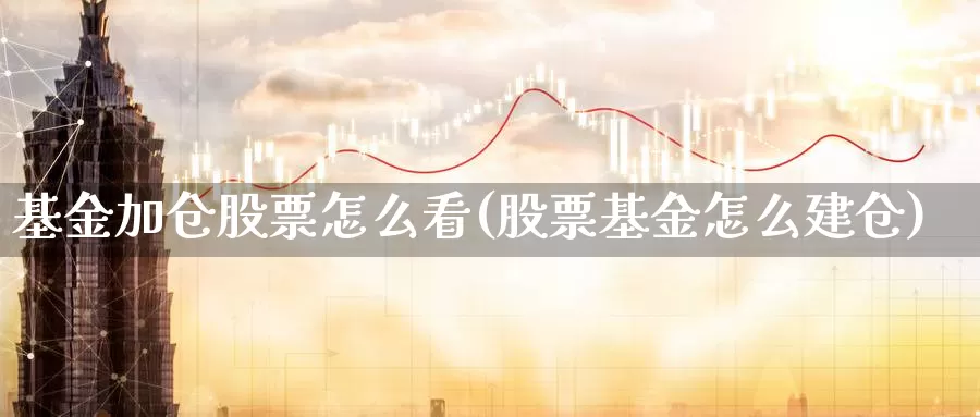 基金加仓股票怎么看(股票基金怎么建仓)_https://www.baokan.net_期货软件_第1张