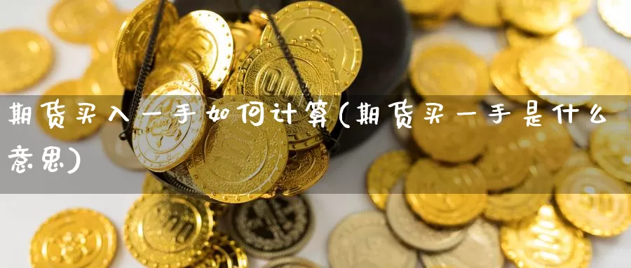 期货买入一手如何计算(期货买一手是什么意思)_https://www.baokan.net_期货交易_第1张