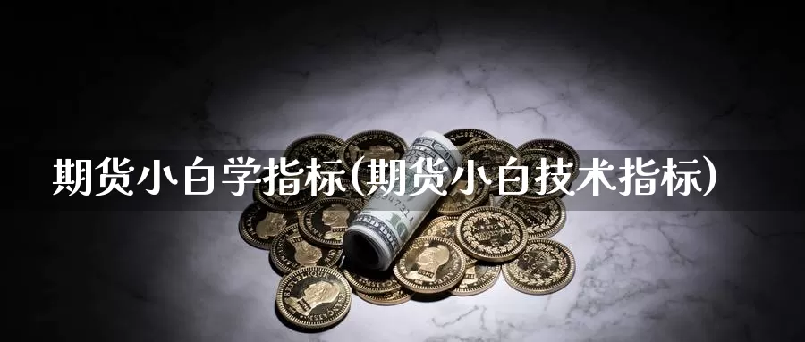 期货小白学指标(期货小白技术指标)_https://www.baokan.net_恒指期货_第1张