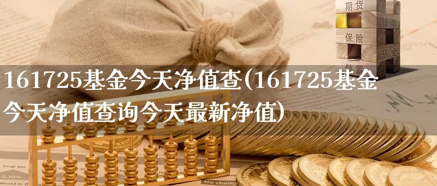 161725基金今天净值查(161725基金今天净值查询今天最新净值)_https://www.baokan.net_期货品种_第1张