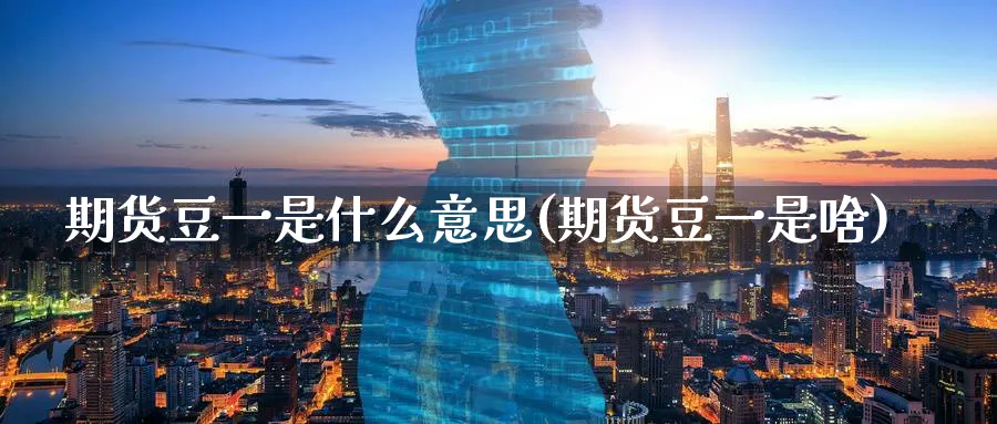 期货豆一是什么意思(期货豆一是啥)_https://www.baokan.net_纳指期货_第1张