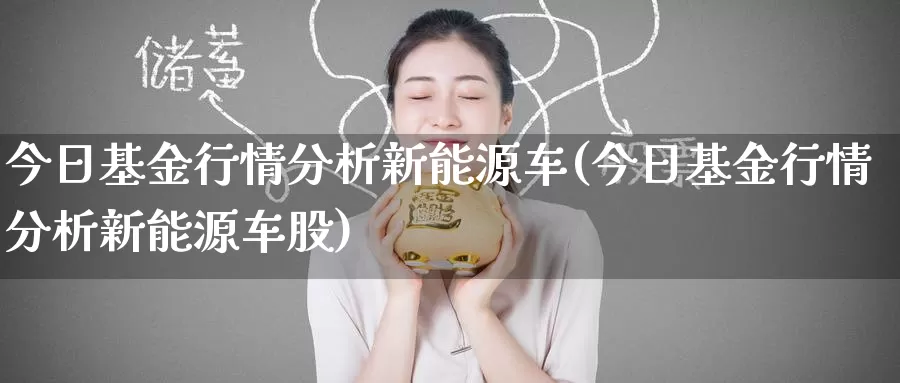 今日基金行情分析新能源车(今日基金行情分析新能源车股)_https://www.baokan.net_期货入门_第1张