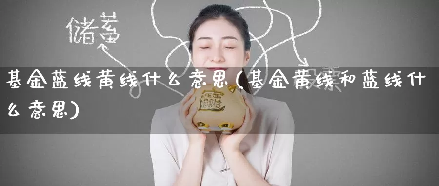 基金蓝线黄线什么意思(基金黄线和蓝线什么意思)_https://www.baokan.net_纳指期货_第1张