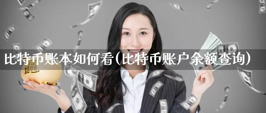 比特币账本如何看(比特币账户余额查询)_https://www.baokan.net_币圈行情_第1张