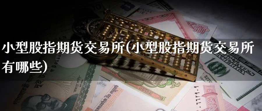 小型股指期货交易所(小型股指期货交易所有哪些)_https://www.baokan.net_内盘期货_第1张