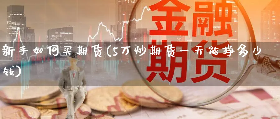 新手如何买期货(5万炒期货一天能挣多少钱)_https://www.baokan.net_期货百科_第1张