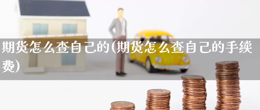 期货怎么查自己的(期货怎么查自己的手续费)_https://www.baokan.net_期货技术_第1张