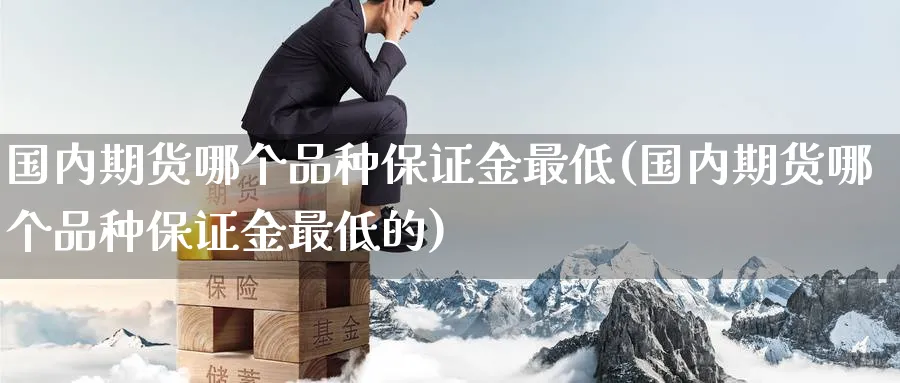 国内期货哪个品种保证金最低(国内期货哪个品种保证金最低的)_https://www.baokan.net_期货公司_第1张