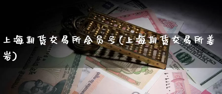 上海期货交易所会员号(上海期货交易所姜岩)_https://www.baokan.net_期货百科_第1张