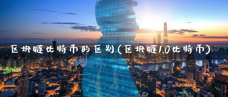 区块链比特币的区别(区块链1.0比特币)_https://www.baokan.net_币圈行情_第1张