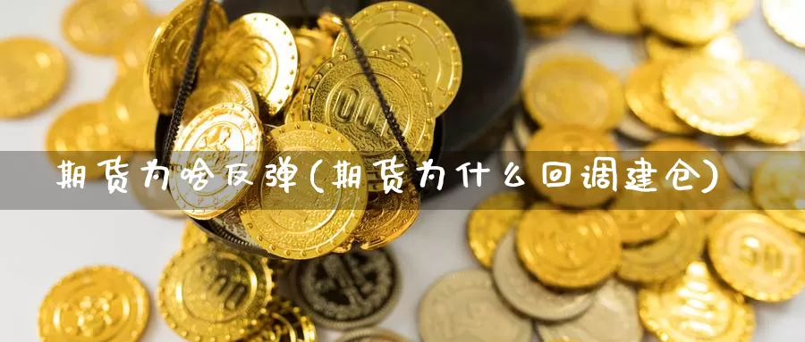 期货为啥反弹(期货为什么回调建仓)_https://www.baokan.net_期货软件_第1张