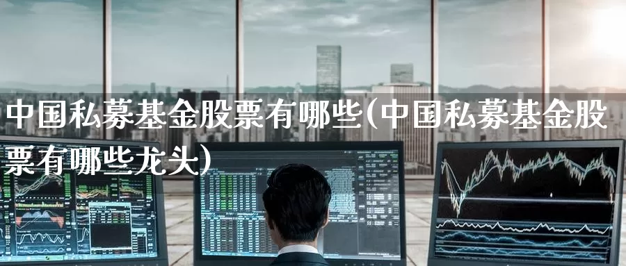 中国私募基金股票有哪些(中国私募基金股票有哪些龙头)_https://www.baokan.net_期货入门_第1张