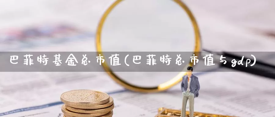 巴菲特基金总市值(巴菲特总市值与gdp)_https://www.baokan.net_期货百科_第1张