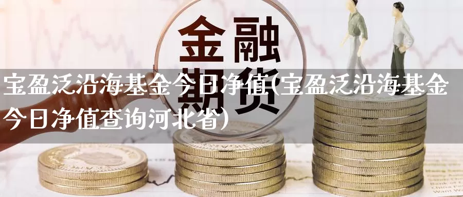 宝盈泛沿海基金今日净值(宝盈泛沿海基金今日净值查询河北省)_https://www.baokan.net_期货分析_第1张