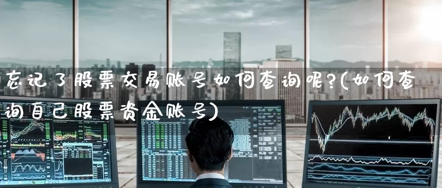 忘记了股票交易账号如何查询呢?(如何查询自己股票资金账号)_期货交易_第1张_宝勘金融网 忘记了股票交易账号如何查询呢?(如何查询自己股票资金账号)_https://www.baokan.net_期货交易_第1张