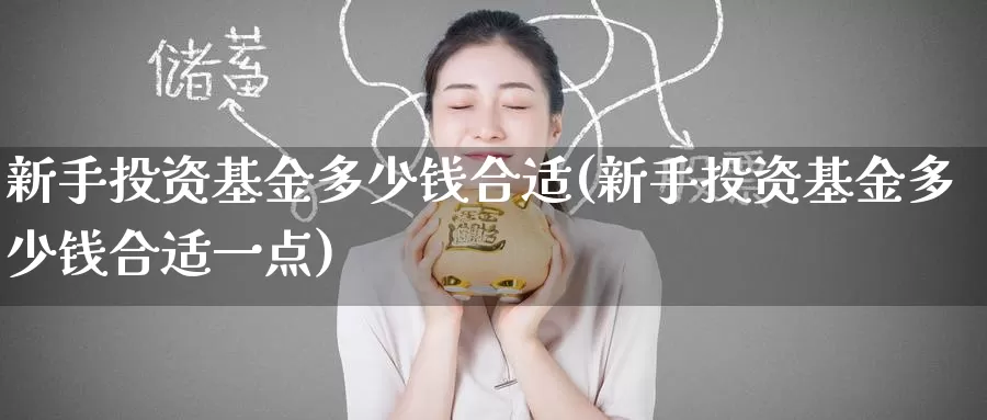 新手投资基金多少钱合适(新手投资基金多少钱合适一点)_https://www.baokan.net_纳指期货_第1张