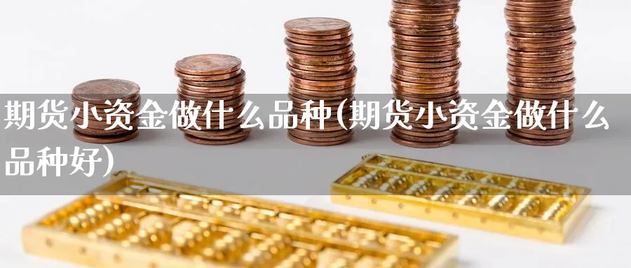 期货小资金做什么品种(期货小资金做什么品种好)_https://www.baokan.net_原油期货_第1张