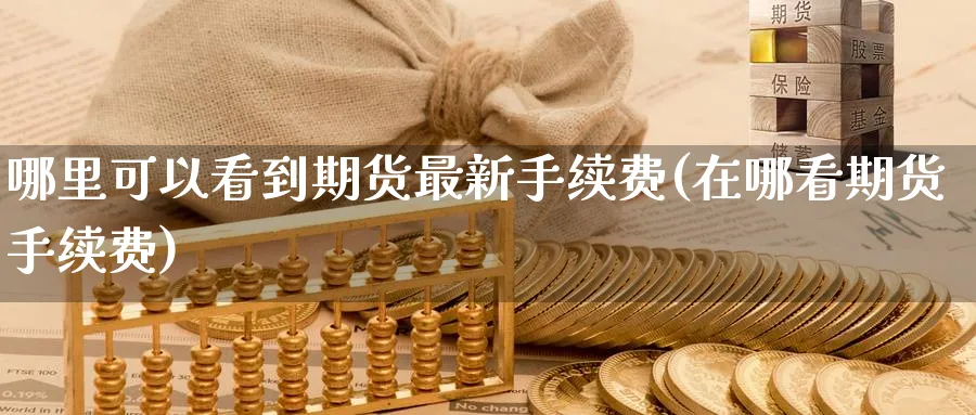 哪里可以看到期货最新手续费(在哪看期货手续费)_https://www.baokan.net_国际期货_第1张