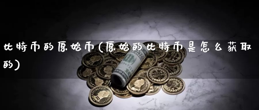 比特币的原始币(原始的比特币是怎么获取的)_https://www.baokan.net_币圈行情_第1张