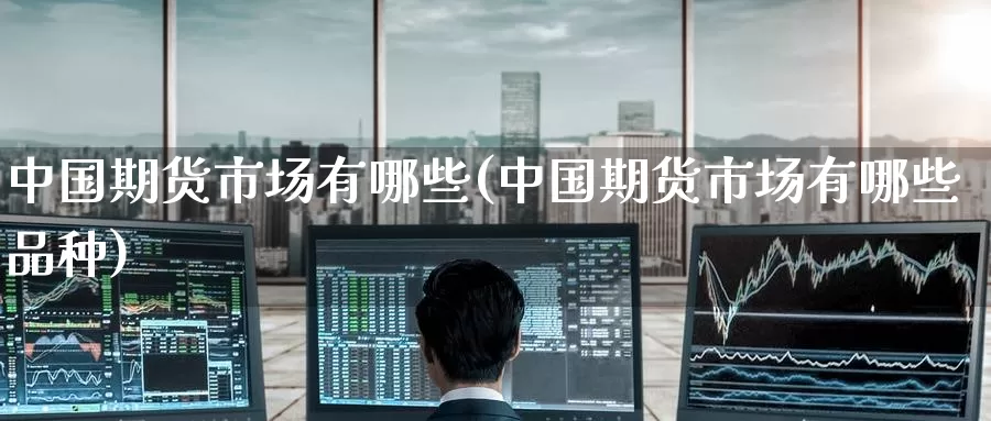 中国期货市场有哪些(中国期货市场有哪些品种)_https://www.baokan.net_股指期货_第1张