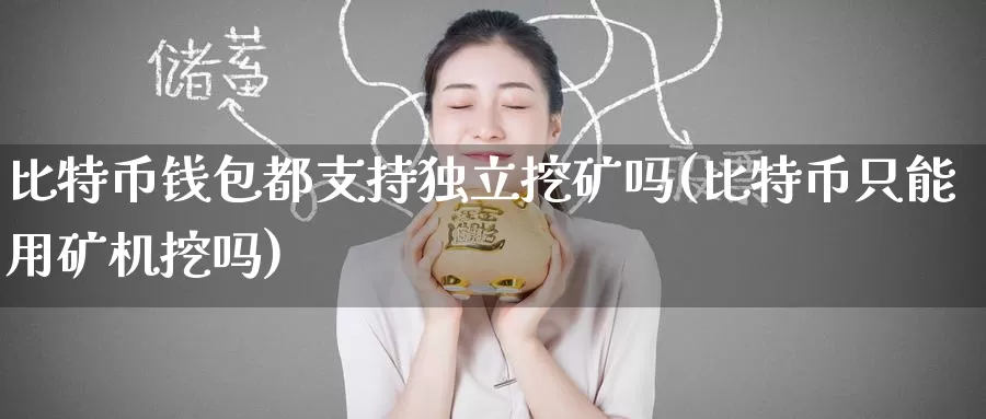比特币钱包都支持独立挖矿吗(比特币只能用矿机挖吗)_https://www.baokan.net_币圈行情_第1张