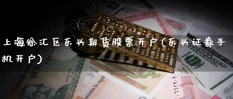 上海徐汇区东兴期货股票开户(东兴证券手机开户)_https://www.baokan.net_期货公司_第1张