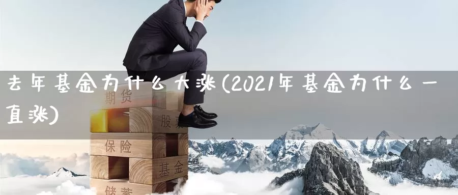 去年基金为什么大涨(2021年基金为什么一直涨)_https://www.baokan.net_期货开户_第1张