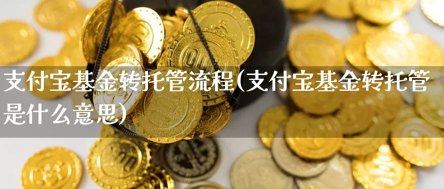 支付宝基金转托管流程(支付宝基金转托管是什么意思)_https://www.baokan.net_股指期货_第1张