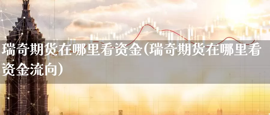 瑞奇期货在哪里看资金(瑞奇期货在哪里看资金流向)_https://www.baokan.net_期货交易_第1张