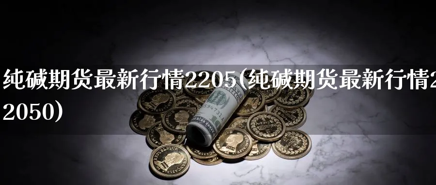 纯碱期货最新行情2205(纯碱期货最新行情22050)_https://www.baokan.net_期货分析_第1张