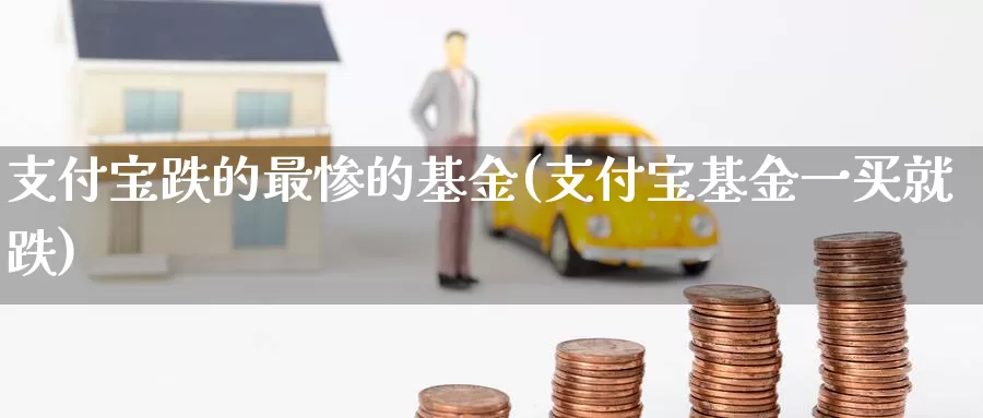 支付宝跌的最惨的基金(支付宝基金一买就跌)_https://www.baokan.net_期货入门_第1张