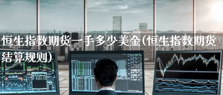 恒生指数期货一手多少美金(恒生指数期货结算规则)_https://www.baokan.net_恒指期货_第1张