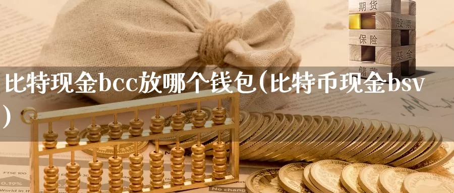 比特现金bcc放哪个钱包(比特币现金bsv)_https://www.baokan.net_币圈行情_第1张