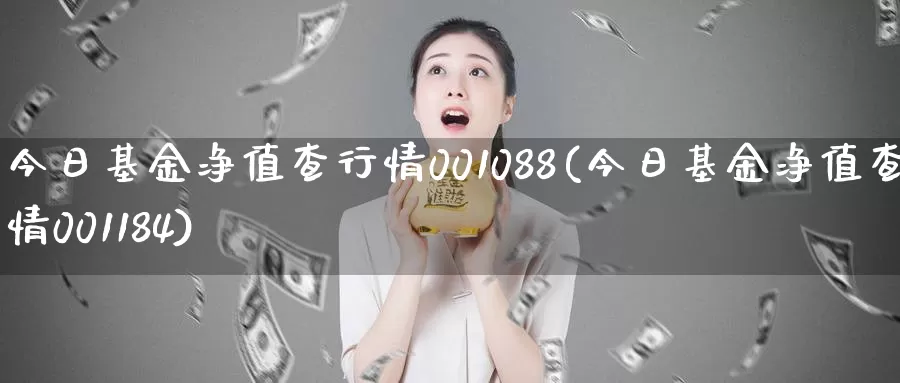 今日基金净值查行情001088(今日基金净值查行情001184)_https://www.baokan.net_纳指期货_第1张