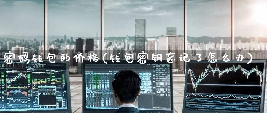 密码钱包的价格(钱包密钥忘记了怎么办)_https://www.baokan.net_币圈行情_第1张