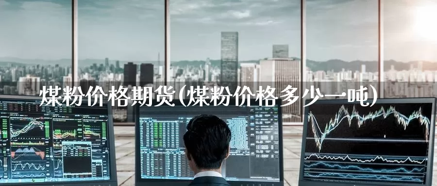 煤粉价格期货(煤粉价格多少一吨)_期货软件_第1张_宝勘金融网 煤粉价格期货(煤粉价格多少一吨)_https://www.baokan.net_期货软件_第1张