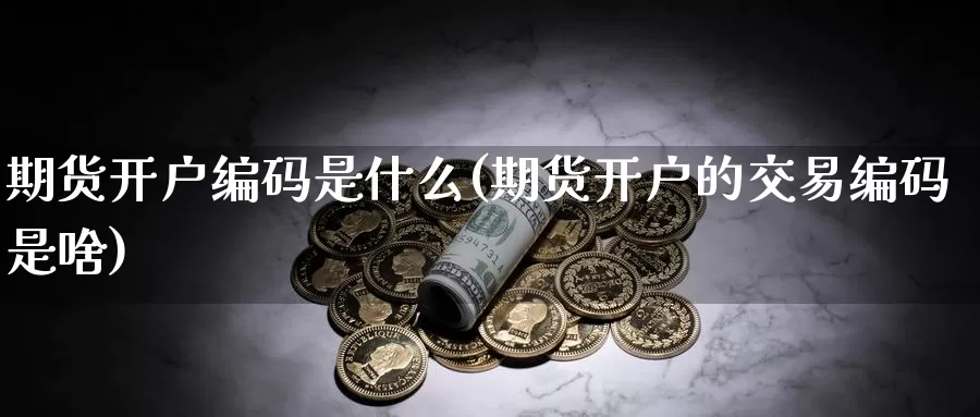 期货开户编码是什么(期货开户的交易编码是啥)_期货品种_第1张_宝勘金融网 期货开户编码是什么(期货开户的交易编码是啥)_https://www.baokan.net_期货品种_第1张