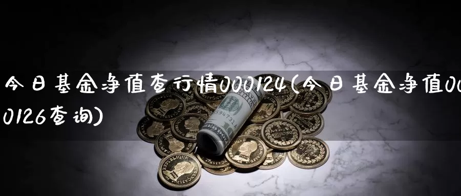 今日基金净值查行情000124(今日基金净值000126查询)_https://www.baokan.net_国际期货_第1张