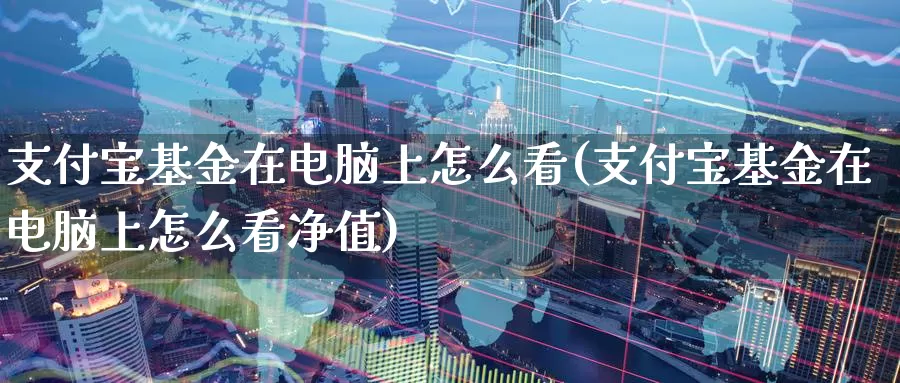 支付宝基金在电脑上怎么看(支付宝基金在电脑上怎么看净值)_期货入门_第1张_宝勘金融网 支付宝基金在电脑上怎么看(支付宝基金在电脑上怎么看净值)_https://www.baokan.net_期货入门_第1张