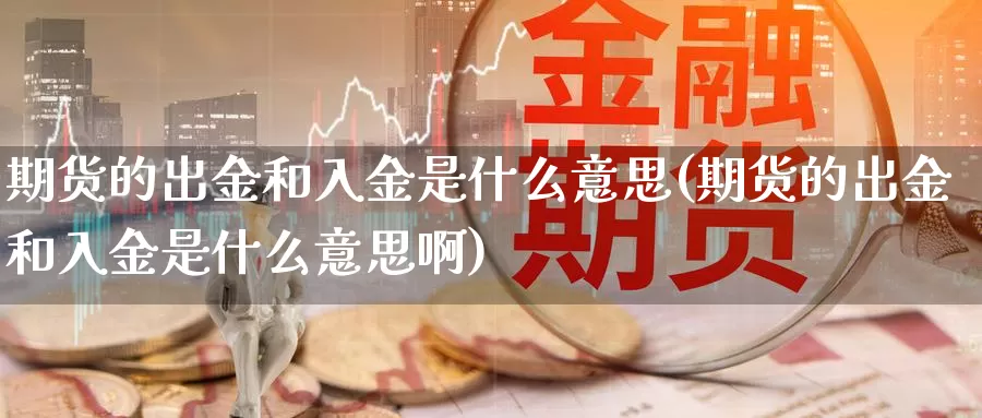 期货的出金和入金是什么意思(期货的出金和入金是什么意思啊)_期货品种_第1张_宝勘金融网 期货的出金和入金是什么意思(期货的出金和入金是什么意思啊)_https://www.baokan.net_期货品种_第1张