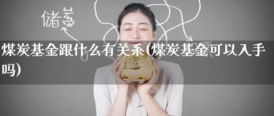 煤炭基金跟什么有关系(煤炭基金可以入手吗)_https://www.baokan.net_期货平台_第1张