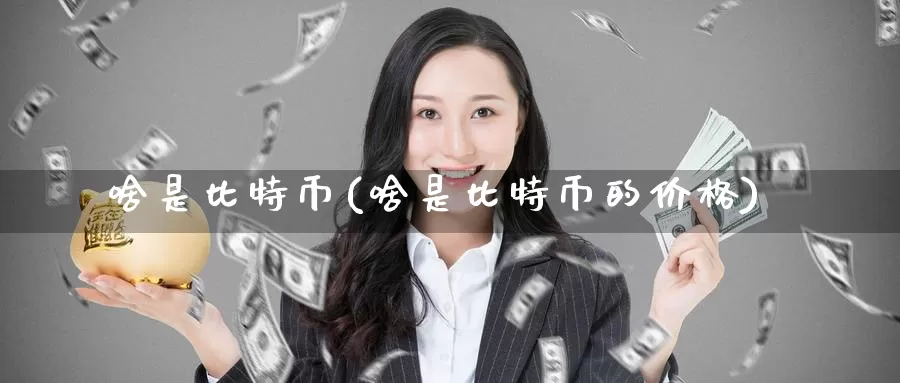啥是比特币(啥是比特币的价格)_https://www.baokan.net_币圈行情_第1张