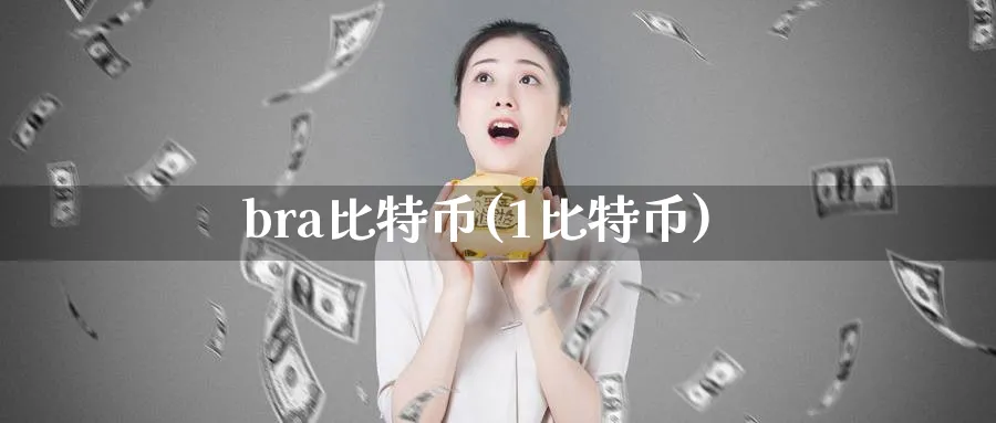 bra比特币(1比特币)_https://www.baokan.net_币圈行情_第1张