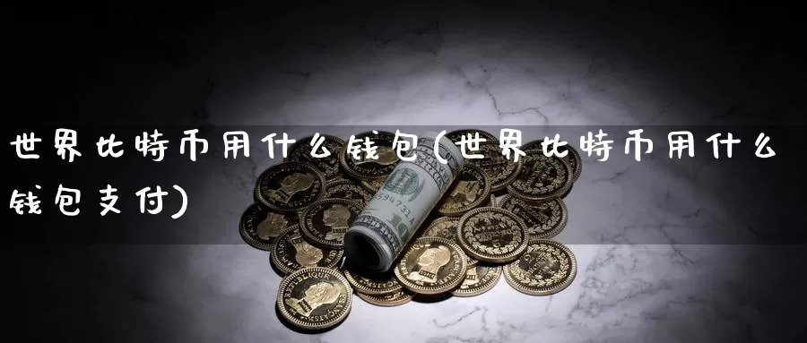世界比特币用什么钱包(世界比特币用什么钱包支付)_https://www.baokan.net_币圈行情_第1张